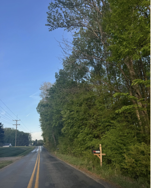 The trees start to fill in along Elk Creek road as the spring season starts.